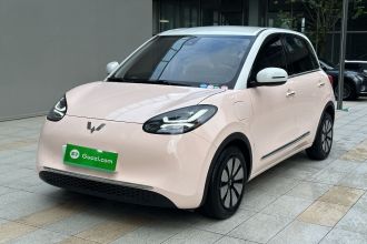 五菱汽车 五菱缤果 2023款 333km 灵犀互联+款