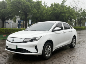 睿蓝汽车 枫叶60s 2024款 幸福定制 整车 出租车专用版