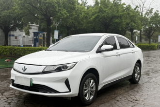 睿蓝汽车 枫叶60s 2024款 幸福定制 整车 出租车专用版