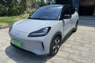 五菱汽车 五菱缤果PLUS 2024款 330km 五座版