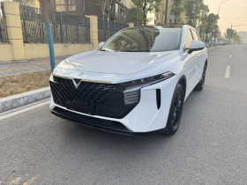 启辰大V 2022款 260T 定制版·爱豆