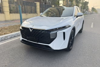 启辰大V 2022款 260T 定制版·爱豆