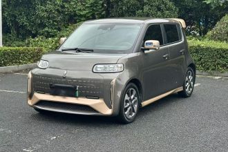 欧拉白猫 2022款 小野猫版 401km 旗舰型 三元锂