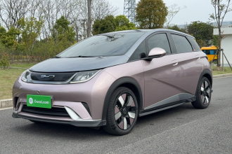 比亚迪 海豚 2023款 401km 骑士版