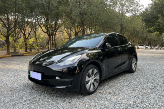 特斯拉 Model Y 2021款 标准续航后驱版