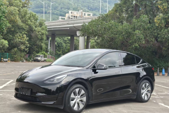 特斯拉 Model Y 2022款 后轮驱动版