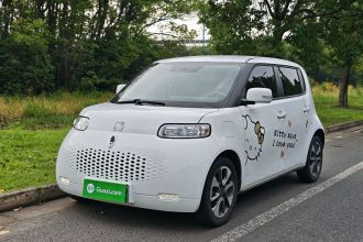 欧拉白猫 2020款 305km 豪华型