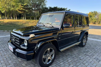 奔驰G级 2016款 G 500