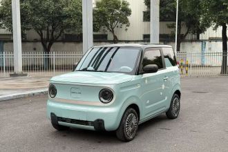 吉利银河 2023款 熊猫mini 200km 耐力熊