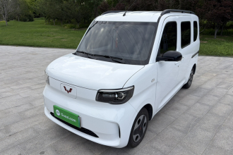 五菱汽车 五菱之光新能源 2025款 305km 进取型