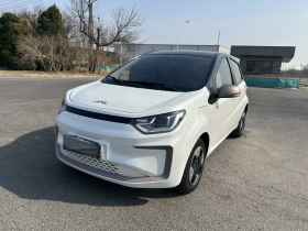 江淮钇为 钇为花仙子 2024款 挚爱版 301km Lite