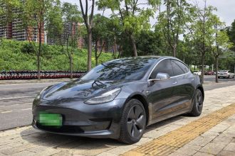 特斯拉 Model 3 2020款 标准续航后驱升级版