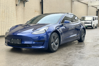 特斯拉 Model 3 2020款 标准续航后驱升级版