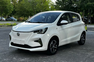 长安 奔奔E-Star 2020款 心动版 磷酸铁锂（31.95kWh）