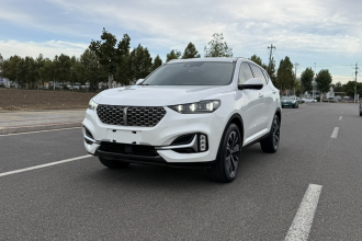 魏牌 VV6 2021款 2.0T 两驱智享+