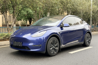特斯拉 Model Y 2021款 标准续航后驱版