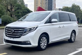 广汽传祺 传祺M8 2018款 320T 尊享版
