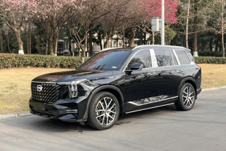 广汽传祺 传祺GS8 2024款 领航系列 2.0TGDI 四驱豪华智联版