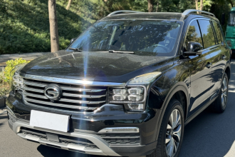 广汽传祺 传祺GS8 2017款 320T 两驱豪华智联版（七座）