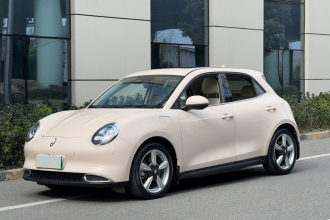 欧拉好猫 2021款 400km标准续航 维纳斯版 磷酸铁锂