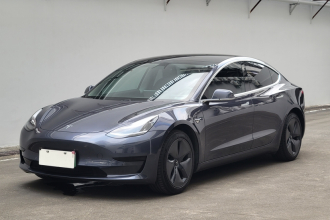 特斯拉 Model 3 2020款 改款 标准续航后驱升级版