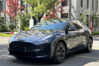 特斯拉 Model Y 2024款 后轮驱动版