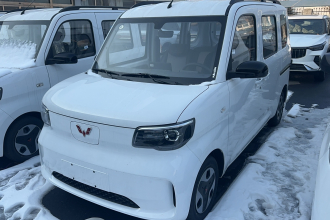 五菱汽车 五菱之光新能源 2025款 305km 进取型