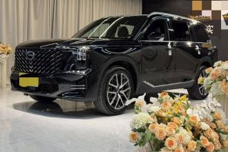 广汽传祺 传祺GS8 2024款 领航系列 2.0TGDI 两驱豪华智联版 7座