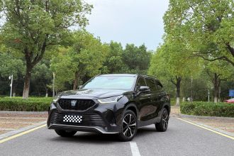 丰田 皇冠陆放 2021款 2.5L HEV四驱尊贵版