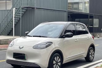 五菱汽车 五菱缤果 2024款 333km 灵犀互联款