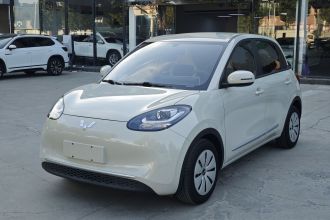 五菱汽车 五菱缤果 2023款 203km 轻享款