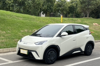 比亚迪 海鸥 2025款 305km 活力版
