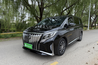 广汽传祺 传祺M8 2023款 领秀系列 390T 尊贵版