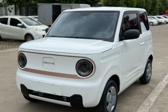 吉利银河 2024款 熊猫mini 200km 耐力熊
