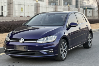 大众 高尔夫 2018款  230TSI 自动豪华型