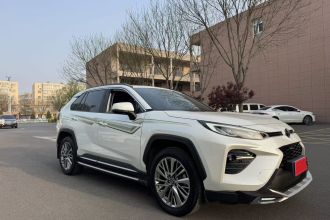 丰田 威兰达 2020款 2.0L CVT四驱尊贵版