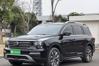 广汽传祺 传祺GS8 2019款 390T 两驱豪华智联版（七座）