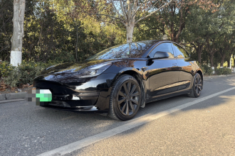 特斯拉 Model 3 2021款 改款 标准续航后驱升级版 3D1