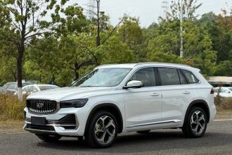 吉利汽车 星越L 2024款 2.0TD DCT EVO两驱长风版