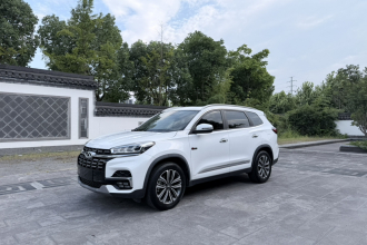 奇瑞 瑞虎8 2020款 改款 290TGDI 自动精英版