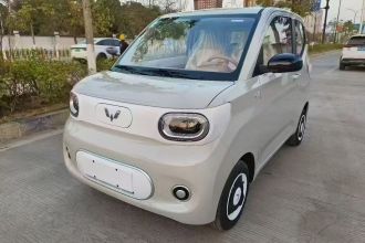 五菱汽车 宏光MINIEV 2024款 第三代 215km 青春版