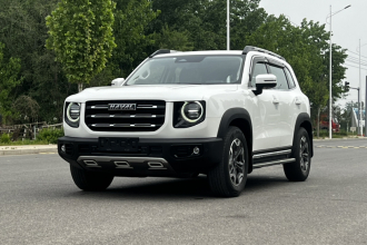 哈弗大狗 2021款 2.0T DCT四驱中华田园犬版