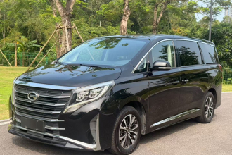 广汽传祺 传祺M8 2023款 领秀系列 390T 尊享版