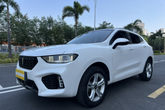 魏牌 VV5 2019款 1.5T 两驱智先锋