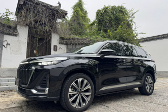 星途揽月 2023款 400T 四驱星耀版 7座