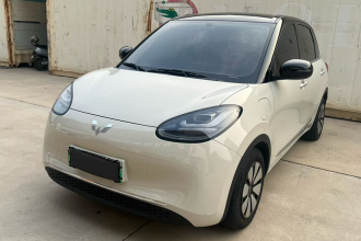 五菱汽车 五菱缤果 2024款 333km 悦享款