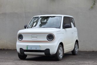 吉利银河 2024款 熊猫mini 200km 耐力熊