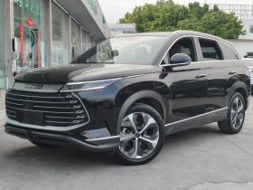 比亚迪 护卫舰07 2023款 DM-i 100KM 尊贵型