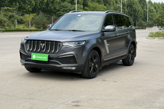 众泰T800 2018款 2.0T 自动尊贵智联型 7座
