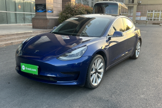 特斯拉 Model 3 2019款 标准续航后驱升级版
